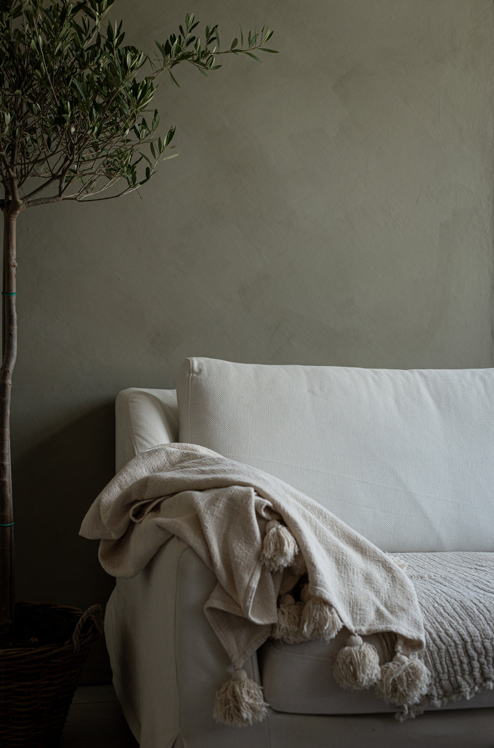Forest Lime Wash Paint — Natural & Eco-Friendly | Kalklitir